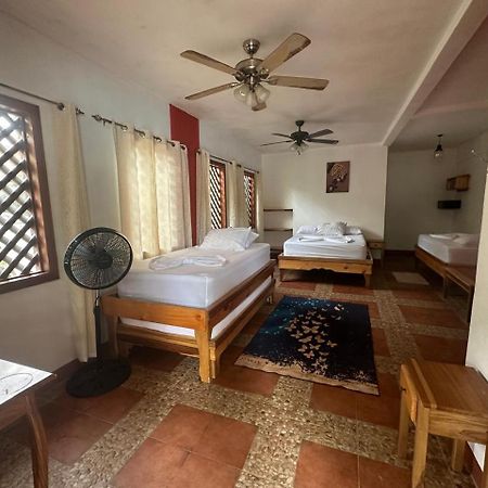 Hotel Don Quichotte Tortuguero Bagian luar foto