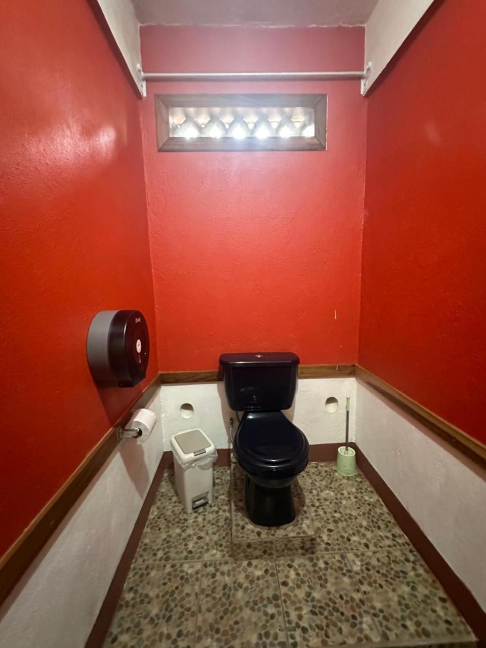 Hotel Don Quichotte Tortuguero Bagian luar foto