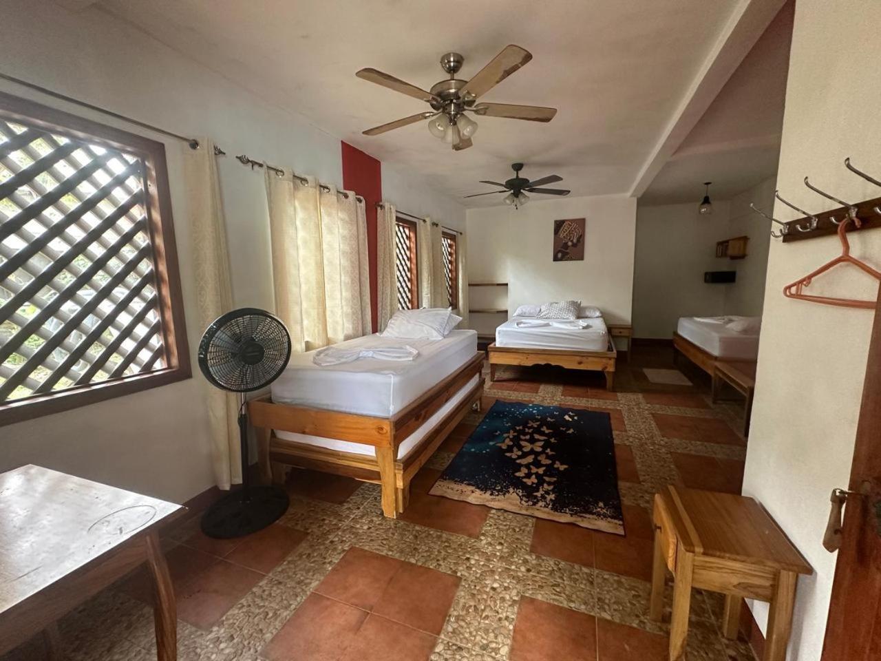 Hotel Don Quichotte Tortuguero Bagian luar foto