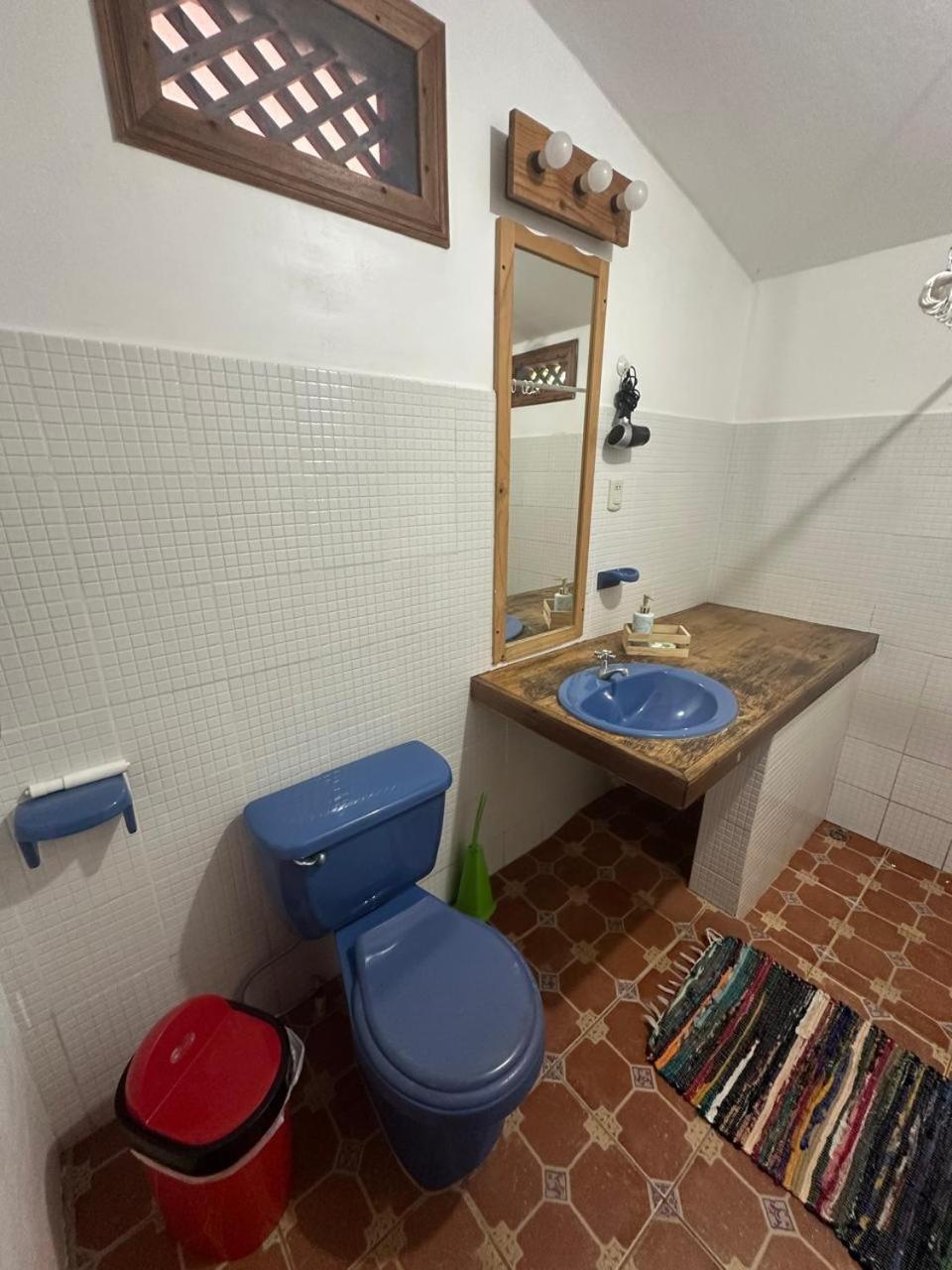Hotel Don Quichotte Tortuguero Bagian luar foto