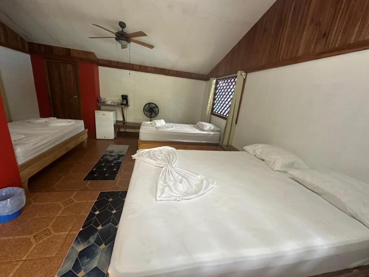 Hotel Don Quichotte Tortuguero Bagian luar foto
